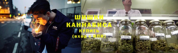 винт Ладушкин