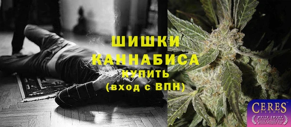 винт Ладушкин