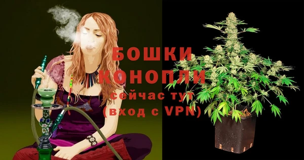 спиды Лабытнанги